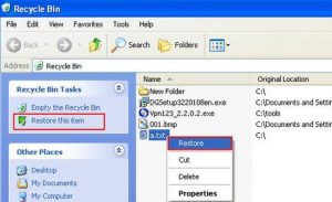 How to Recover a File Deleted from the Recycle Bin